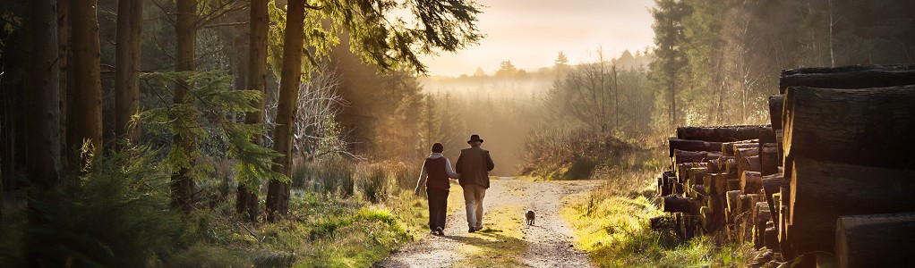 walk in slieve bloom 