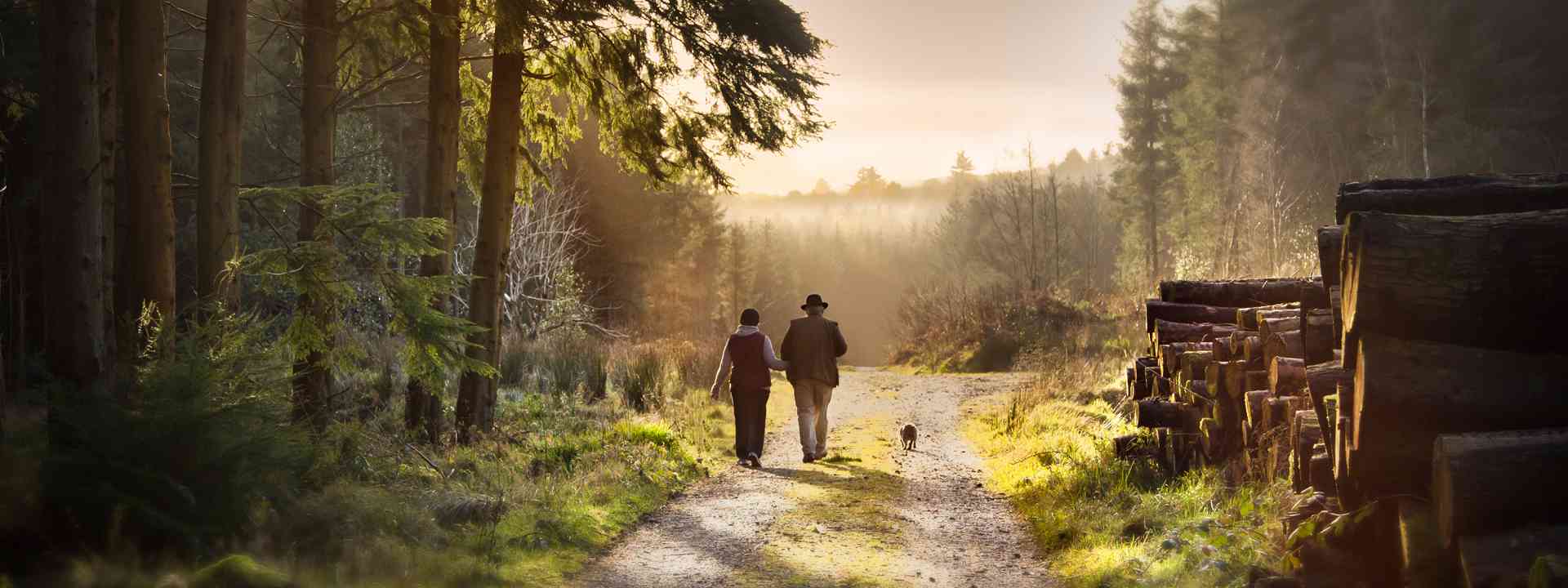 walk in slieve bloom 