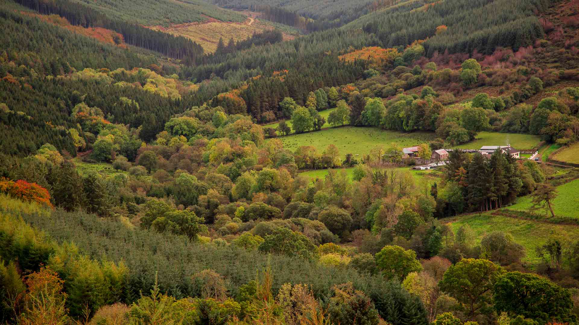 Phot of scenic fields