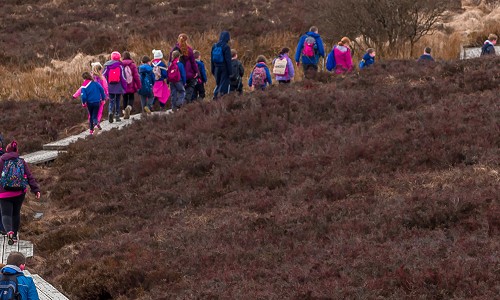 Group of people walking along a trail