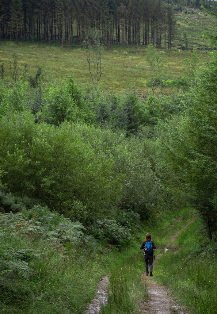 Photo of woman walking scenic trail