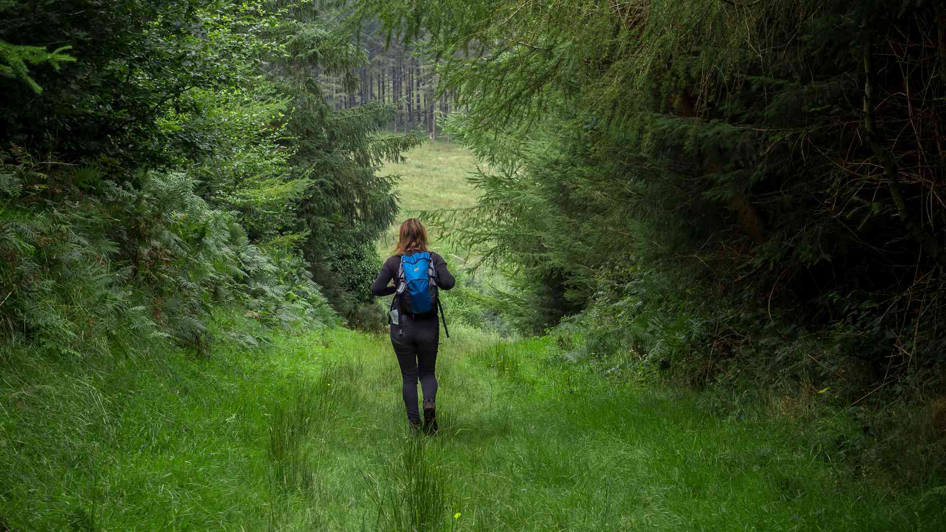 Photo of woman walking through pauls lane